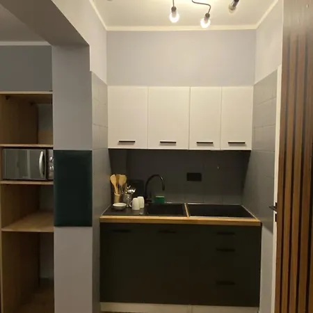 Pokoj Z Prywatna Lazienka W 2-pokojowym Mieszkaniu Komuny Paryskiej Apartment *